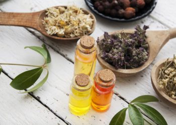 گیاهان دارویی کردستان و فرصت طلایی درآمد زایی