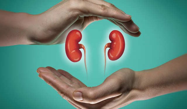 افزایش خرید و فروش کلیه نتیجه افزایش شاخص فلاکت در کردستان